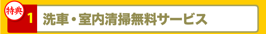 洗車・室内清掃・エンジンルーム洗浄